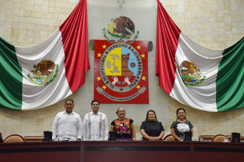 Analiza Congreso Entregar Medalla Al Merito Para Las Y Los Defensores