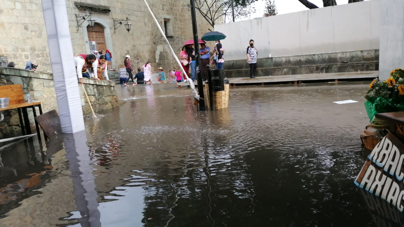 Deja lluvia algunos encharcamientos y caídas de árboles en la capital y municipios conurbados