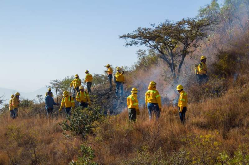 Coesfo e INAH suman esfuerzos para prevenir que incendios afecten la Zona Arqueológica de Monte Albán