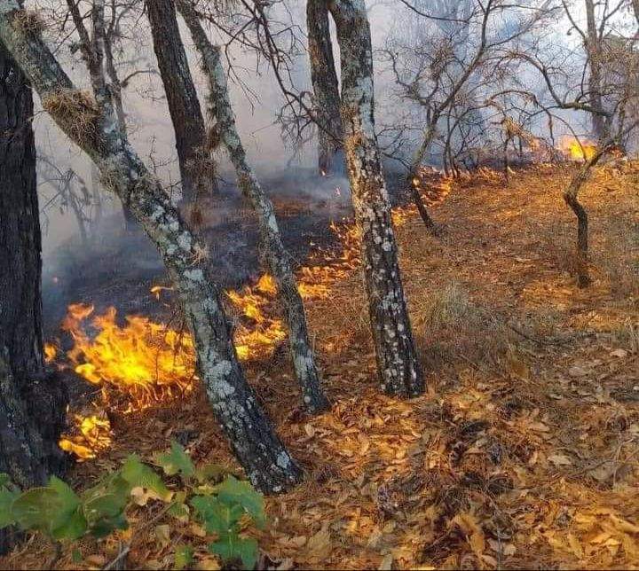 Continúan comuneros de Mazaltepec atendiendo fuego en ese municipio