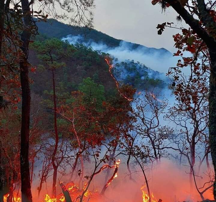 Siguen sin controlarse incendio en Mazaltepec; pobladores amagan con bloqueos para que los apoyen