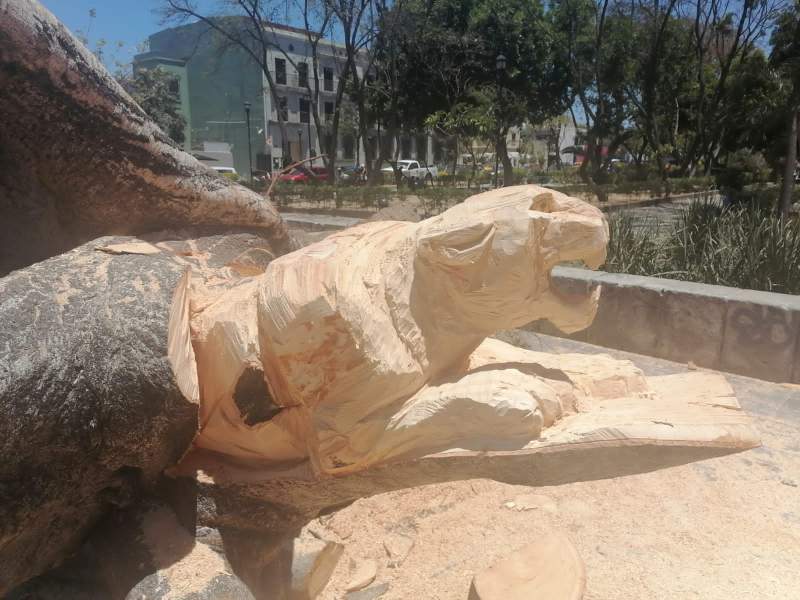 Un jaguar, un águila y una iguana, son algunas de las figuras que surgirán del árbol caído en el Llano