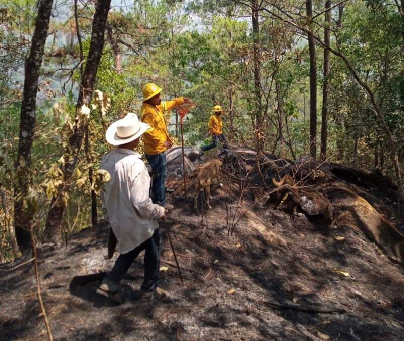 Confirma Coesfo liquidación de incendio en San Andrés Cabecera Nueva