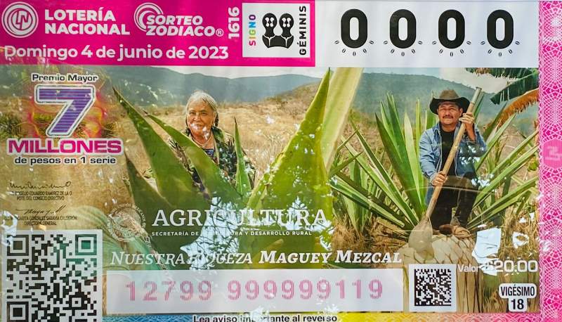 Devela Lotería Nacional billete alusivo al Maguey-Mezcal