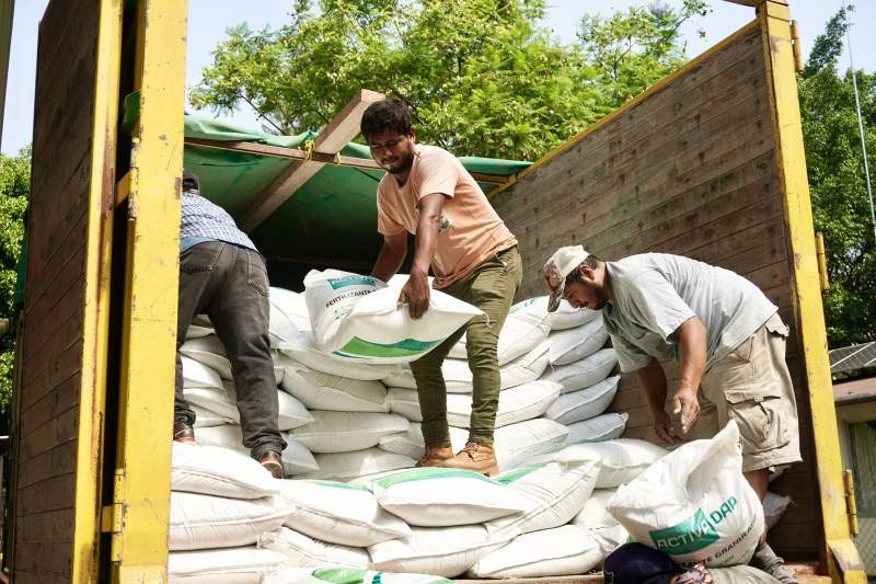 Programa Abasto Seguro de Maíz beneficia a 664 personas productoras de seis municipios