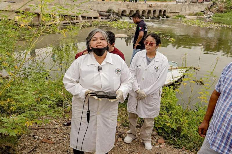 Descartan que químicos hayan provocado muerte de peces en Río de Juchitán