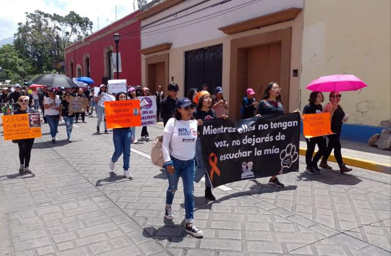 Con marcha, piden respeto al derecho de los animales en Oaxaca