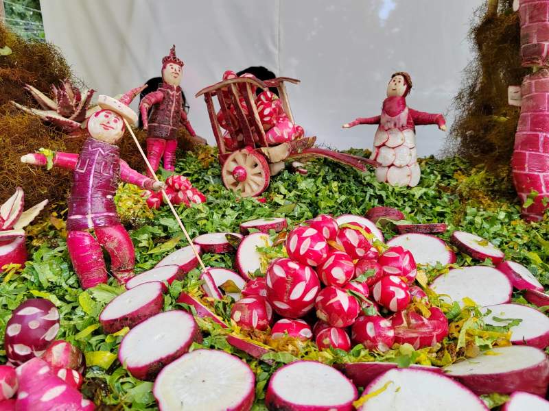 Declara Congreso “Noche de Rábanos”, patrimonio cultural del estado de Oaxaca.