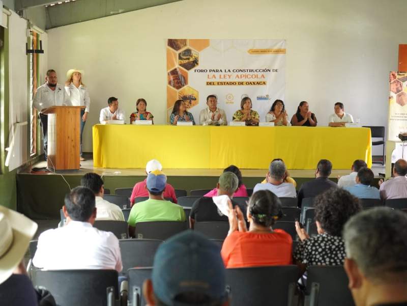 Crear una ley apícola desde el enfoque ciudadano: PRD