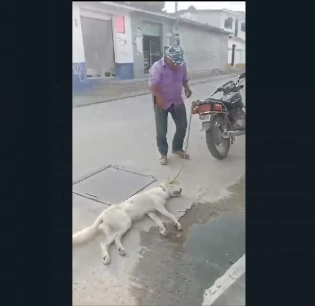 Se registra otro maltrato animal en Soledad Etla