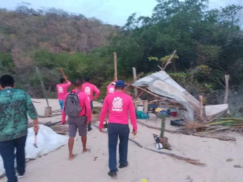 Recuperan nido de tortuga que estaba en mano de saqueadores de Huevo