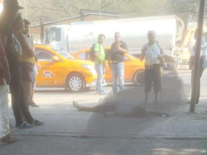 Ejecutan taxista en Salina Cruz