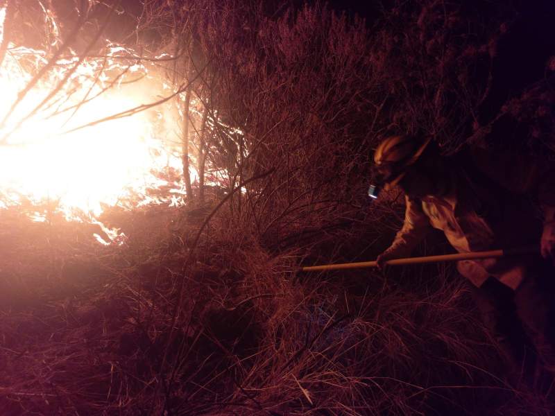 Atiende Coesfo tres Incendios en diversos puntos de Oaxaca