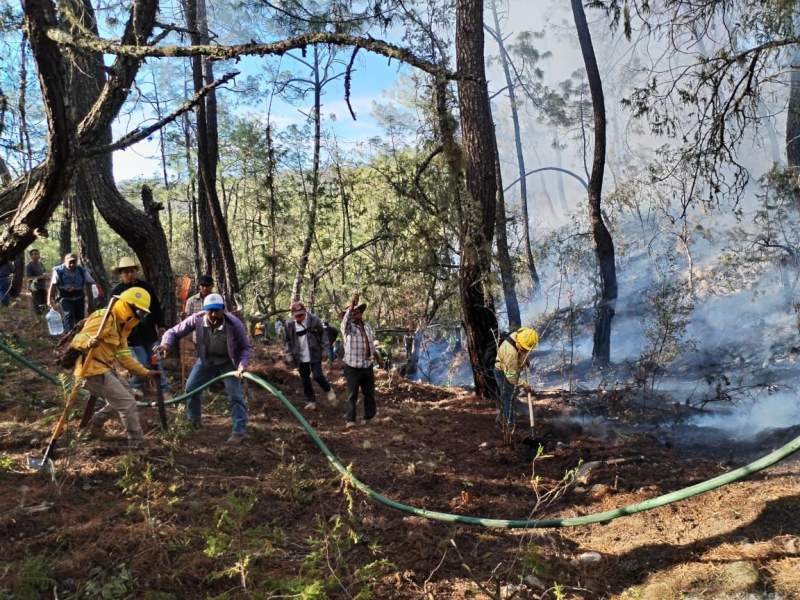 Coesfo liquida y controla cinco incendios en Oaxaca