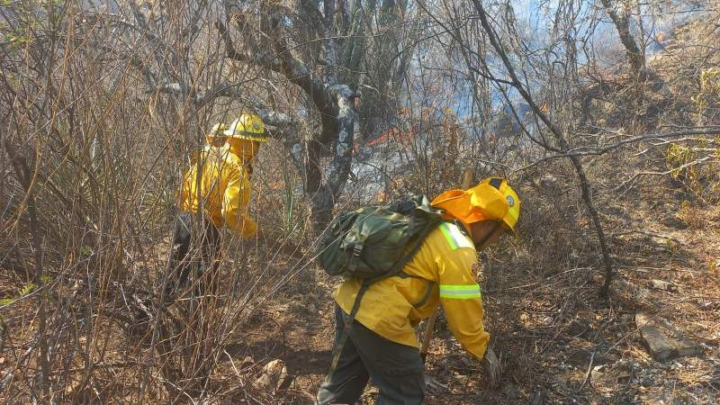 Controlado al 100% incendio en San Miguel Peras