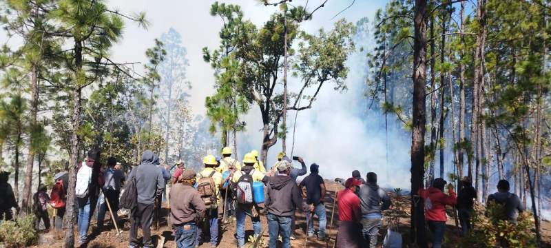 Reporta Coesfo control del 50% en incendio de la Sierra Sur