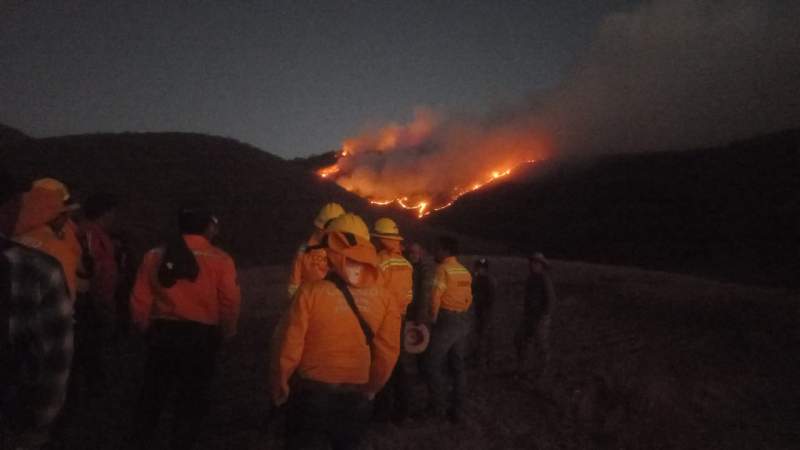 Activos ocho incendios forestales en el estado: Coesfo