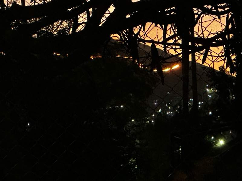 #Almomento Se registra nuevo incendio en los Valles Centrales
