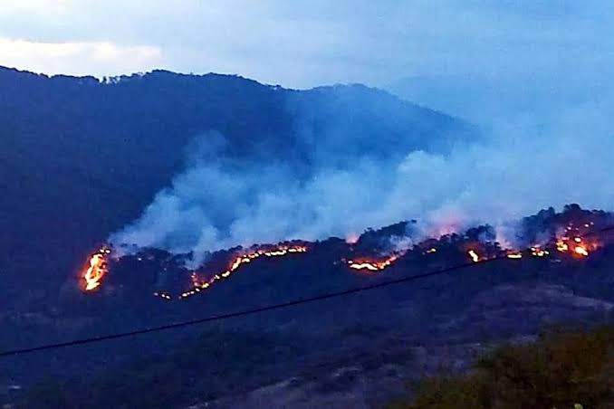 Atienden incendio en localidades de San Martín Peras