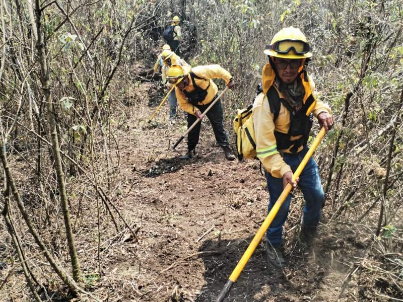 Controlado incendio forestal en Putla Villa de Guerrero