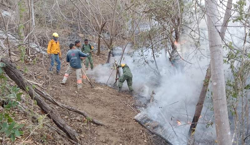 Emiten recomendaciones para protegerse del humo de incendios forestales