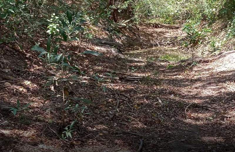 Encuentran restos humanos en camino de terracería en Juchitán