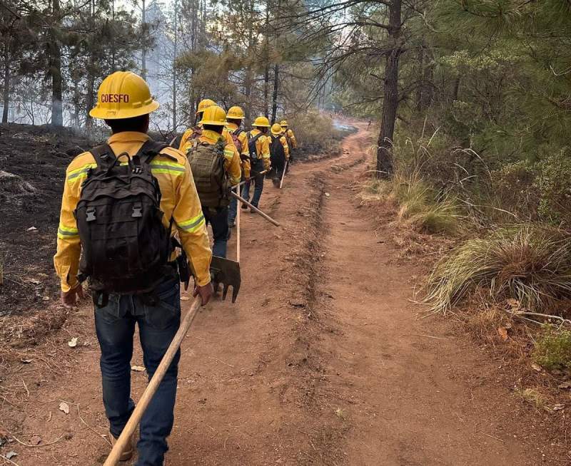 Liquida Coesfo incendios en Sierra Sur y Sierra de Juárez