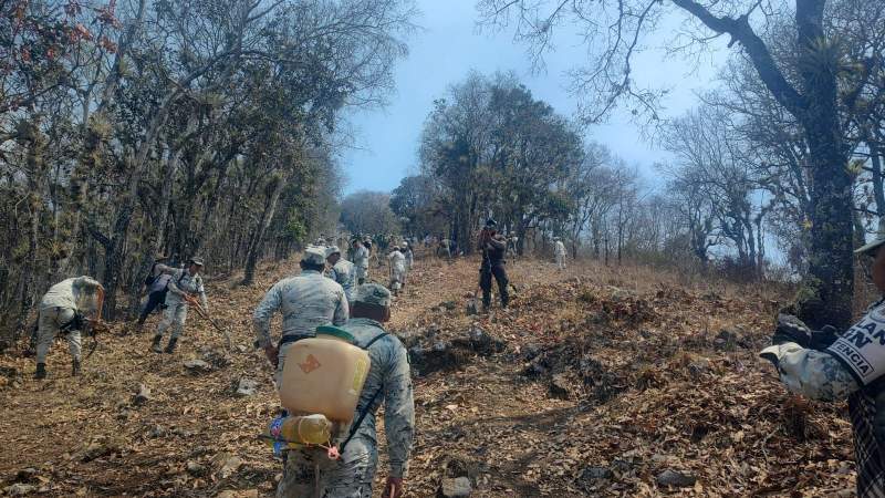 No hay reportes de una persona desaparecida en incendio en Güila, informa Coesfo