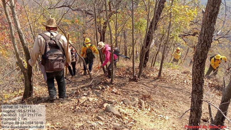 Notifica Coesfo control total en incendio de Santiago Lachiguiri