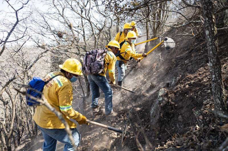 #PorFin Queda controlado al 100 % incendio en San Lucas Quiavini