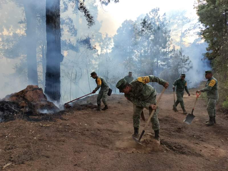 Reportan una persona desaparecida en incendio en Asunción Mixtepec