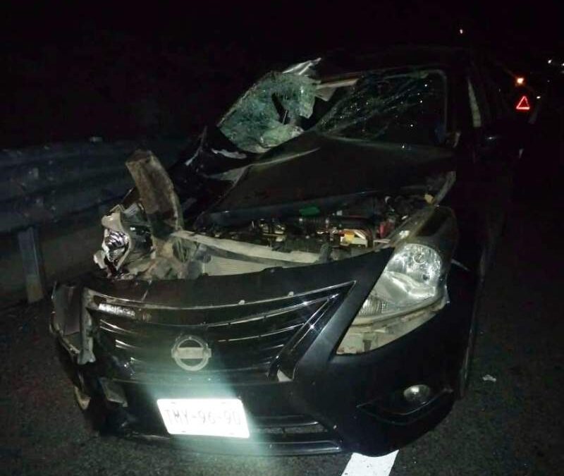 Una persona lesionada deja choque entre un automóvil y un becerro en la autopista Oaxaca – Costa