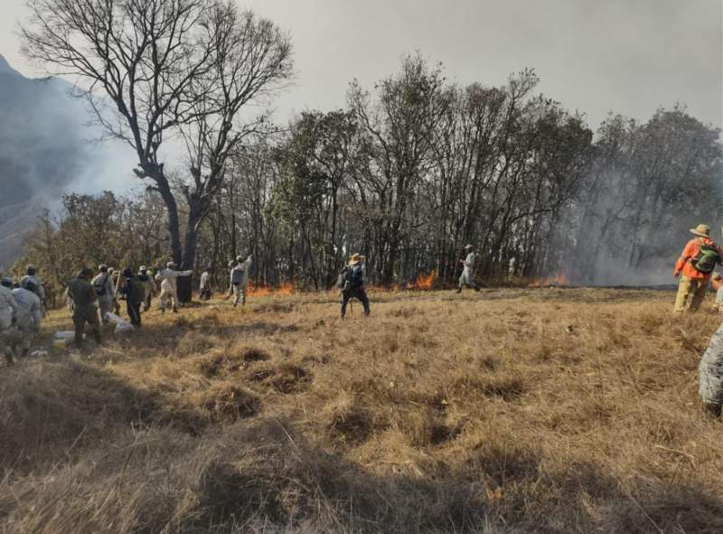 Anuncia Sego que se gestionó un helicóptero de la Marina para apoyar en el incendio en Quiaviní y Güila