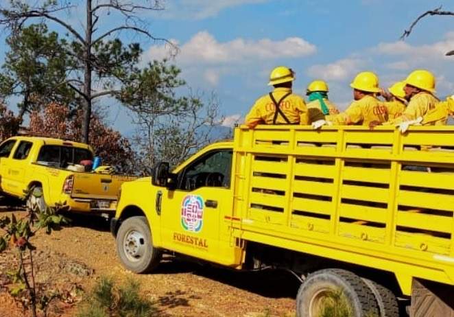 Atiende Coesfo incendio forestal activo en Santiago Tilantongo