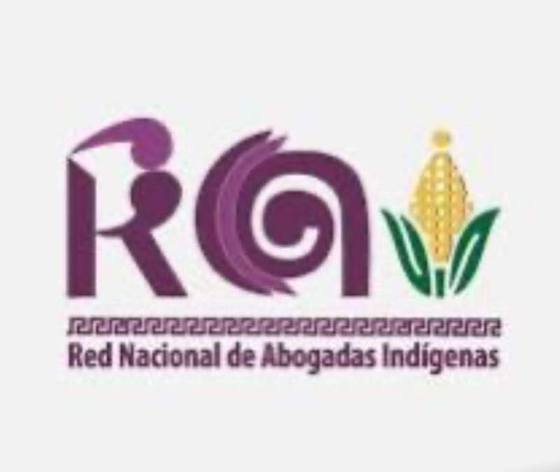 Ahora es la Red Nacional de Abogadas Indígenas quienes piden respetar acción afirmativa indígena, tras usurpación