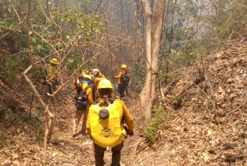 Atiende Coesfo incendio intermunicipal de Santa María Huatulco y San Miguel del Puerto