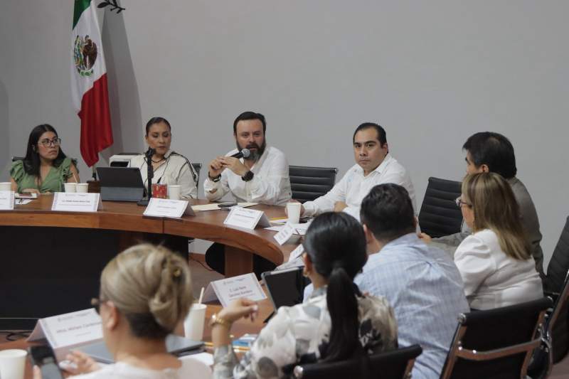 Organización, atención y seguimiento de elecciones en Oaxaca, continúan: MOSE
