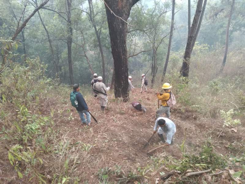 Refuerza Coesfo atención a incendio forestal en la Mixteca