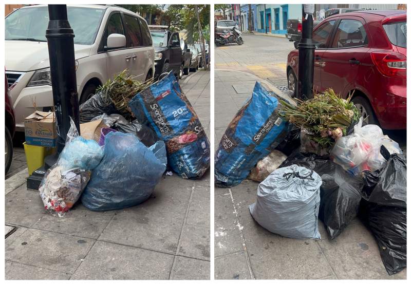 Se acumula la basura sobre la Calle de Xicoténcatl y Guerrero en la capital