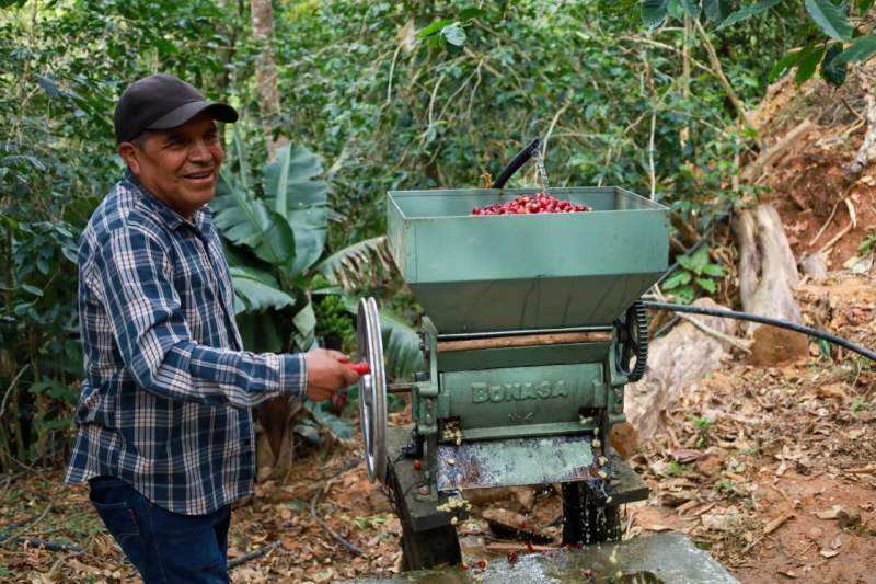 Tendrán proyección nacional e internacional cafetaleras y cafetaleros de Oaxaca
