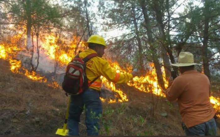 Controlan al 100% incendio en Valles Centrales