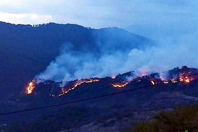 Atiende Coesfo incendios en la Sierra de Juárez y la Costa