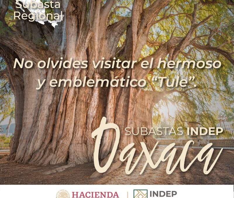 Oaxaca será sede de Subasta del Instituto para Devolver al Pueblo lo Robado