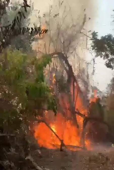 Confirman un muerto tras incendio en San Pedro Cafetitlán