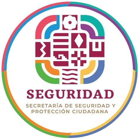 En presunto intento de robo, hieren a conductor de autobús