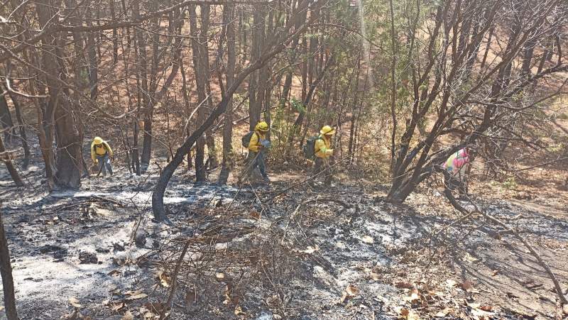 Controla Comisión Estatal Forestal reactivación de incendio en la Mixteca