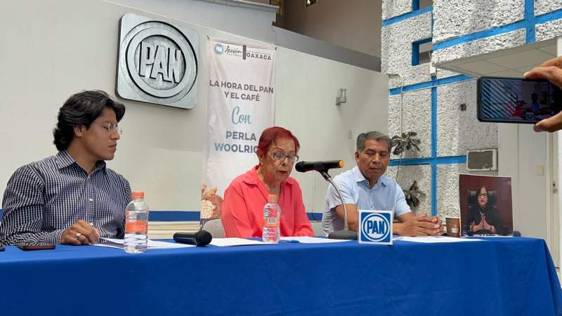 Descarta Perla Woolrich renunciar a la dirigencia del PAN