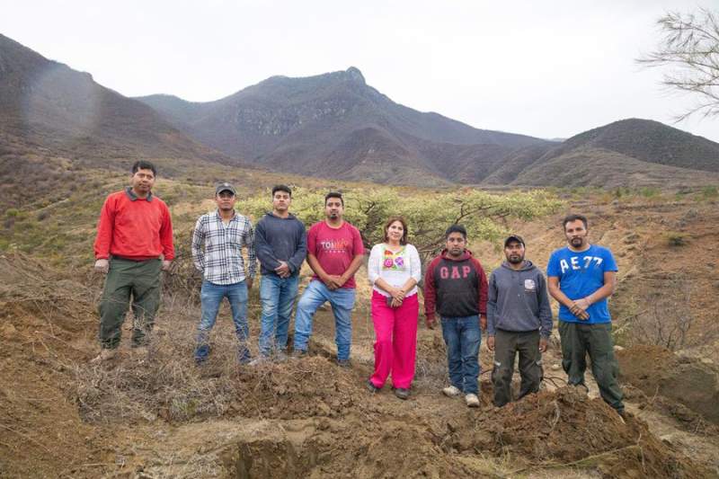 Iniciará Coesfo Jornada Estatal de Reforestación 2024 en San Lucas Quiaviní