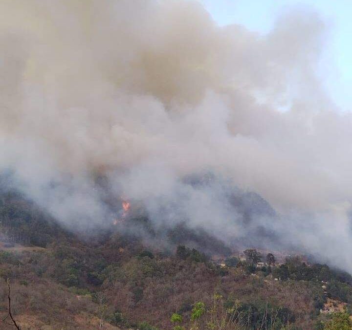 Se registra incendio en Capulálpam de Méndez