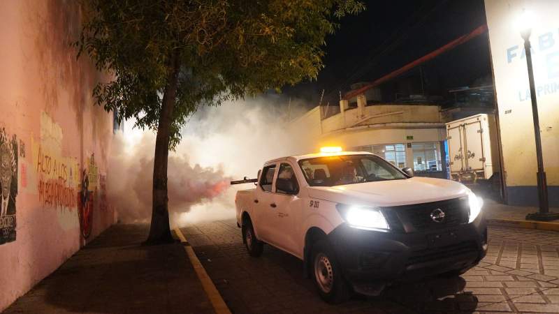 Registra Oaxaca 167 casos nuevos de dengue